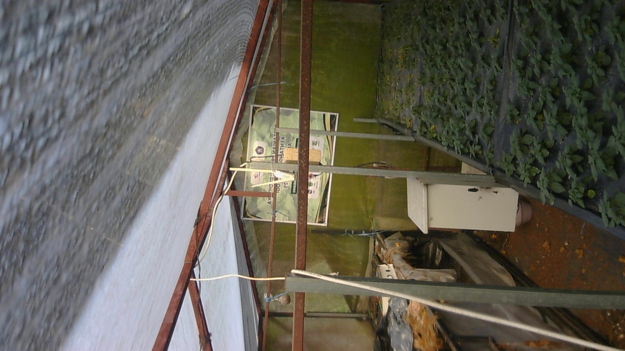 Pak-Tommy_2026-01-31_07-00-01_329-329.jpg