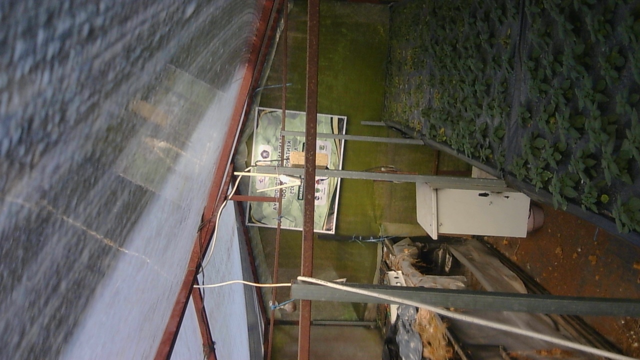 Pak-Tommy_2026-01-31_08-00-00_742-742.jpg