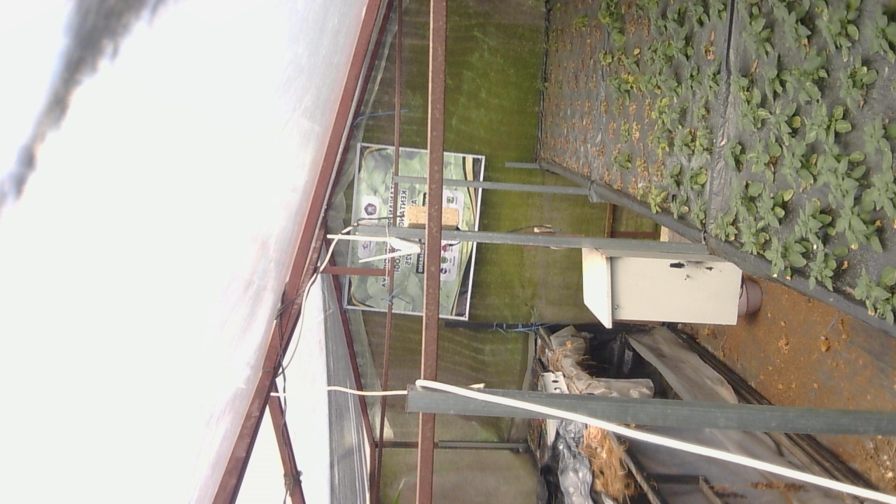 Pak-Tommy_2026-02-08_10-00-01_512-512.jpg