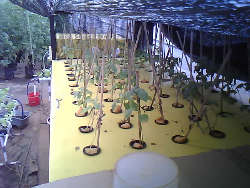 SMK-Moenadi_2026-02-08_13-00-01_366-366.jpg