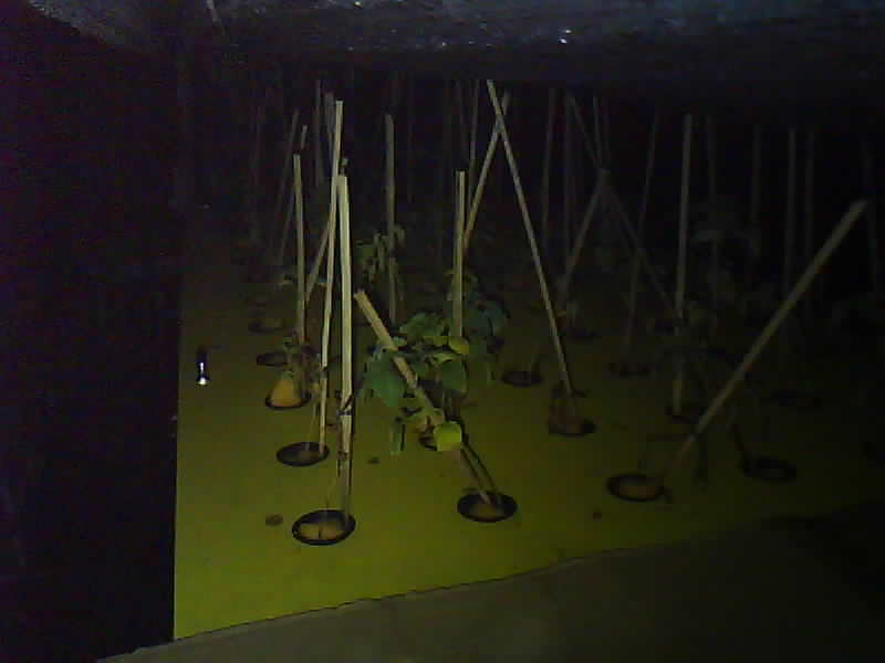 SMK-Moenadi_2026-02-16_00-00-01_178-178.jpg